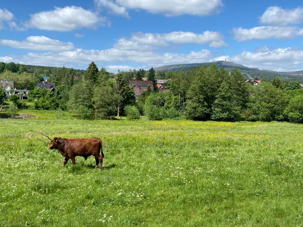 Berglage - Das Urlaubzuhause Braunlage Eksteriør billede